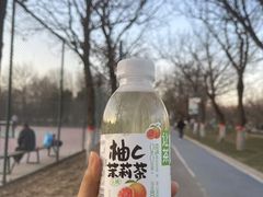 -五环公园