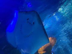 -沈阳海洋探索中心