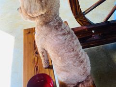 -将军关探险漂流