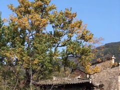 -塔川景区