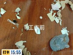 -重庆轻喜到家家政保洁