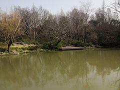-上海滨江森林公园