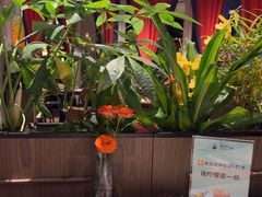 -半秋山西餐厅(巴南万达广场店)