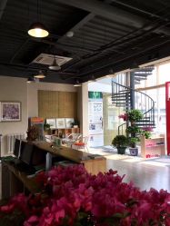 -一花一叶瑜伽生活馆