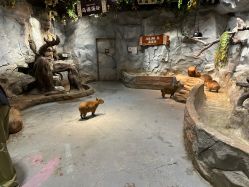 -Zoolung Zoolung动物主题公园(海信广场店)