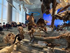 -上海博物馆(人民广场馆)