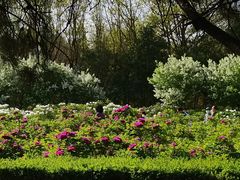 -洛阳市隋唐城遗址植物园