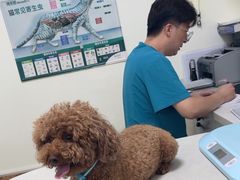 -美联众合24小时·皮肤科·外科·全科诊疗中心(华苑分院)