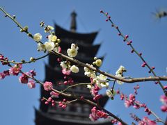 -上海方塔园