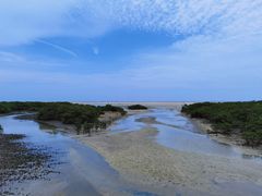 -北海金海湾红树林生态旅游区