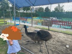 -菊园百果园