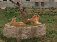 -西安秦岭野生动物园