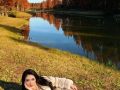 -黄海国家森林公园