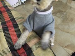 -宠爱有家宠物店(环镇北路店)