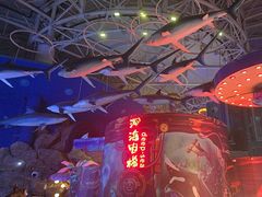 -烟台海昌鲸鲨海洋公园