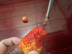 -中福百货(望京店)