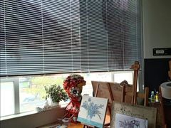 -黑骏画室·深圳美术中高考黄埔军校