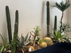 -J Create城市露营咖啡·简餐·宠物(上海动物园店)