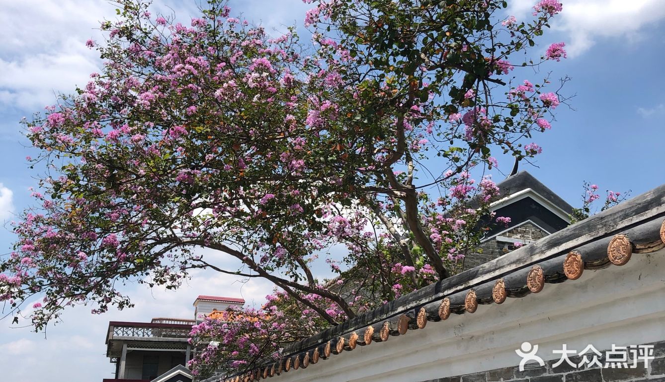 广州近市区最安静文艺的古村[吐]