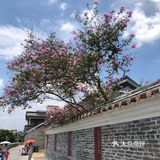 广州近市区最安静文艺的古村[吐]