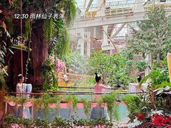 -正佳雨林生态植物园