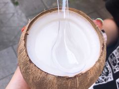 特浓椰子冻-椰爺爺·椰子冻砵仔糕