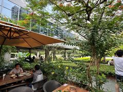 -缘生态云南菜·野生菌庭院餐厅(华侨城店)