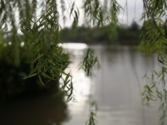 -南通濠河风景名胜区