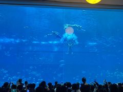 -南昌融创海世界