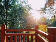 -南国桃园旅游度假区