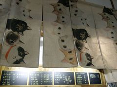 -吉丁鸟咖·异宠·寄养