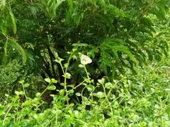-晓港公园