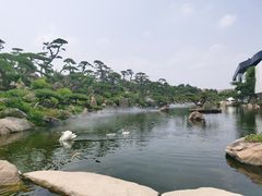 -罗红摄影艺术馆