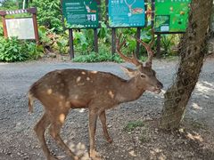 -海南热带野生动植物园