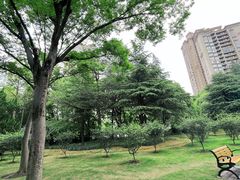 -新虹桥中心花园