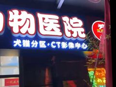 -达爱动物医院·犬猫分区·CT·复杂眼科(远洋山水分院)