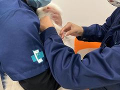 -佳雯宠物医院(四明中路分院)