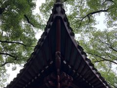 -天一阁博物院