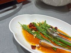 -九十九顶毡房(清河店)