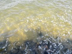 景点-湖光岩风景区