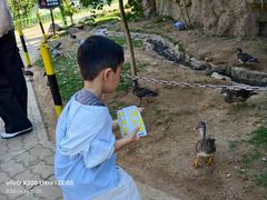 -西霞口神雕山野生动物世界