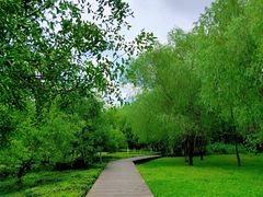 -长广溪湿地公园
