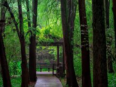 -同里国家湿地公园