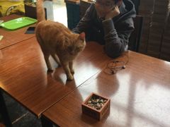 -密讯馆密室逃脱&换装侦探剧(环球港旗舰店)