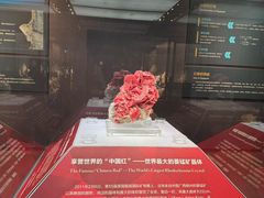 -湖南省地质博物馆