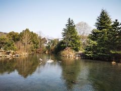 -白马涧龙池景区