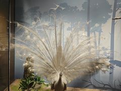 -陕西自然博物馆