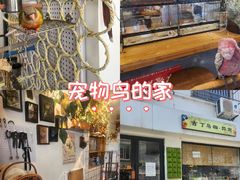 -吉丁鸟咖·异宠·寄养