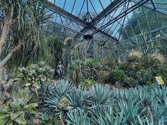 -深圳仙湖植物园