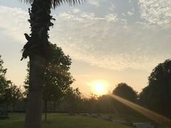 -西南政法大学(沙坪坝校区)